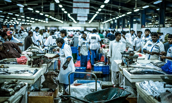 Deira Fish Market